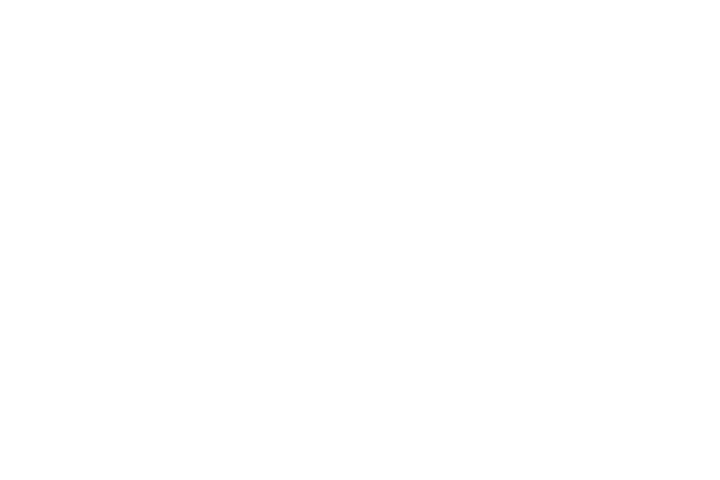 SENTINEL